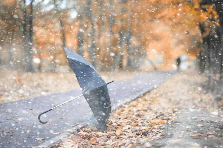 La Science de l'Hivernage : Pourquoi l'odeur de la pluie donne faim